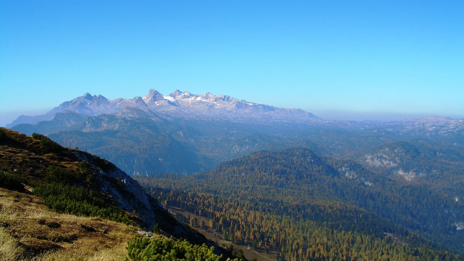 Groene heuvels en wijngaarden in Steiermark
